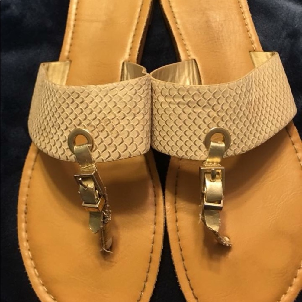 FlipFlops
